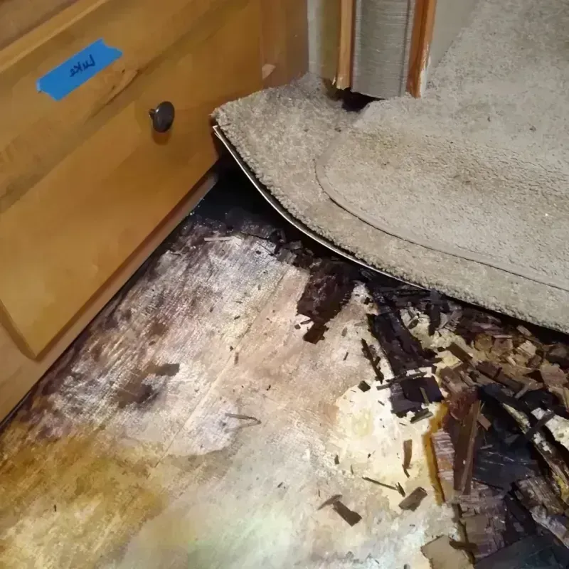 Wood Floor Water Damage in Stickney, IL